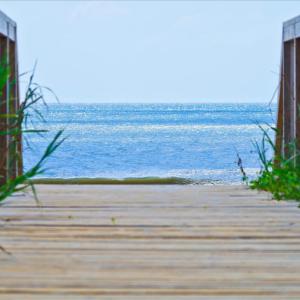 13) 54302-67ddc9bf197e1