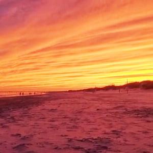 14) 54302-67e4731decbc0