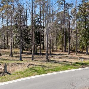 8_dji_20250318144009_0023_d