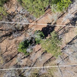 3_dji_20250318143011_0007_d