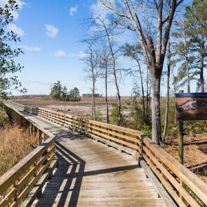 11-web-or-mls-DJI_0291