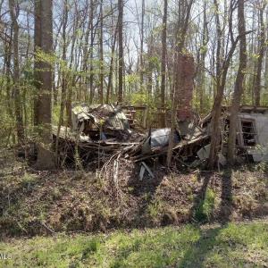 Resized_20250327_155017