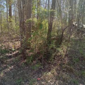 Resized_20250327_155626