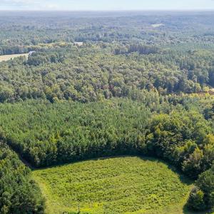 8-web-or-mls-DJI_20240826152504_0799_D