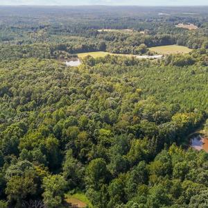 4-web-or-mls-DJI_20240826152353_0795_D