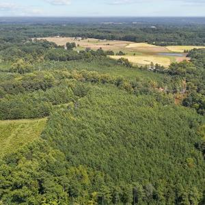 12-web-or-mls-DJI_20240826152605_0803_D