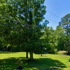 Just enough trees for shade on the lots