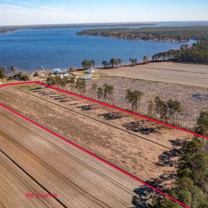 see survey for correct  property lines
