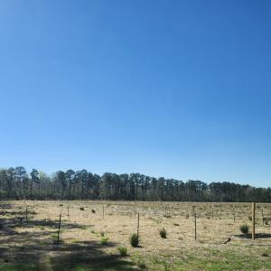 small pen started/electric fencing
