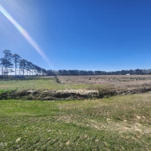 property extends ack into the tree line