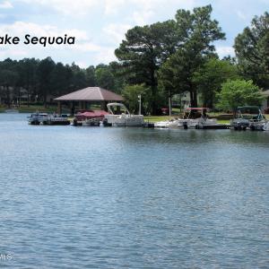 Lake Sequoia 2