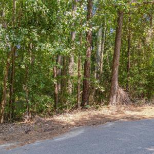 09-3408 Apple Meadow-8