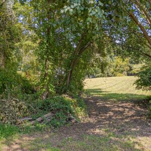 12-3408 Apple Meadow-11