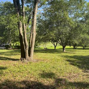 Gorgeous Corner Lot