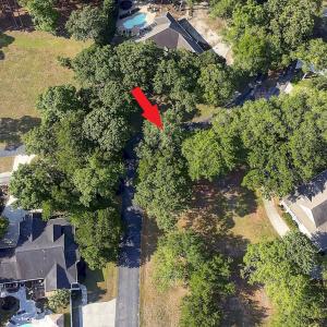 Mature Trees offer Shade