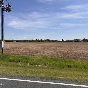 Hammonds Road 2