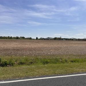 Hammonds Road