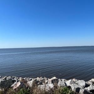 IMG_4066