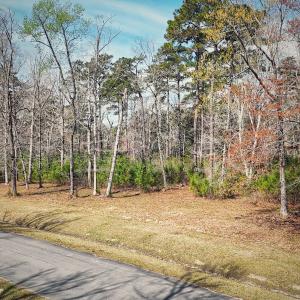 74 Queen Annes Court, Oriental, NC