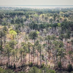 74 Queen Annes Court, Oriental, NC