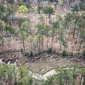 74 Queen Annes Court, Oriental, NC