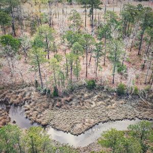 74 Queen Annes Court, Oriental, NC