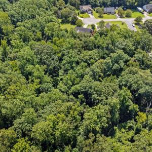 4-web-or-mls-DJI_0039