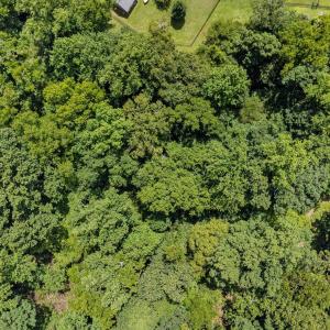 7-web-or-mls-DJI_0042