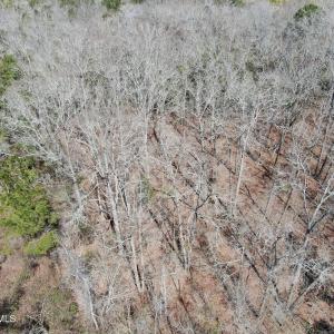 DJI_0603