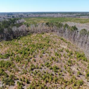 DJI_0605