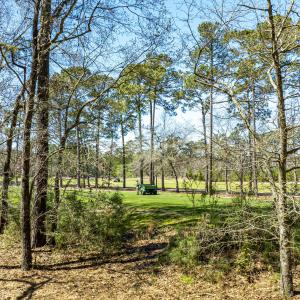 2050 ARNOLD PALMER-56