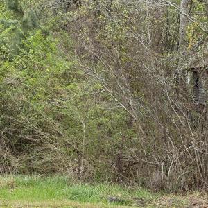 Photo Apr 02 2025, 12 18 58 PM