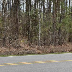 Photo Apr 02 2025, 12 18 53 PM