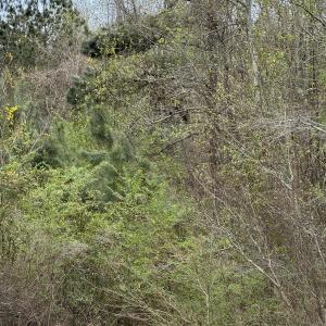 Photo Apr 02 2025, 12 19 08 PM