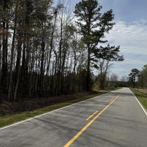 Photo Apr 02 2025, 12 20 59 PM