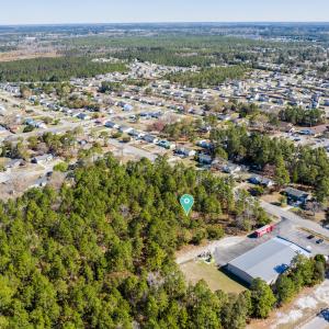 DJI_0336p