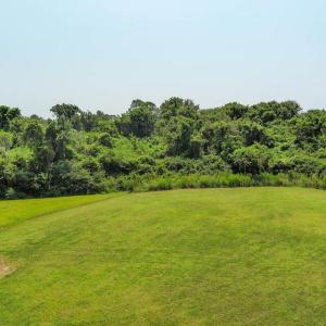 20250108180951866078000000-o