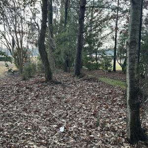 Chowan Circle 4