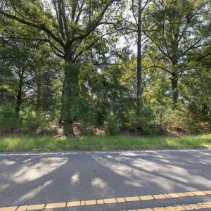 5-web-or-mls-7K5A8777