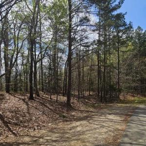 Leaman Rd