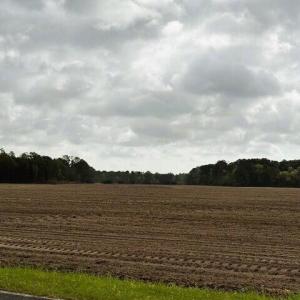 land3