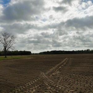 land4