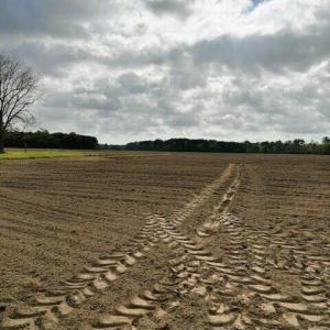 land7