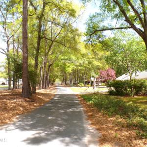 Forest Drive