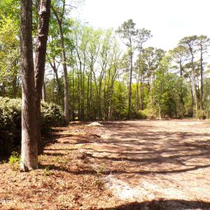 Driveway Area