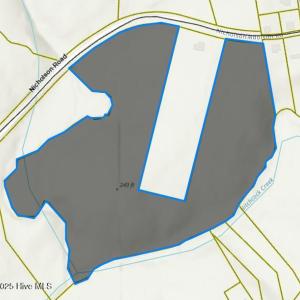 TBD Nicholson GIS