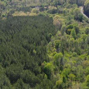 CDAD00CB5EEEA13D6B28B02240A81481