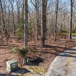 14-web-or-mls-DJI_20250217143728_0685_D