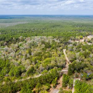 DJI_0451