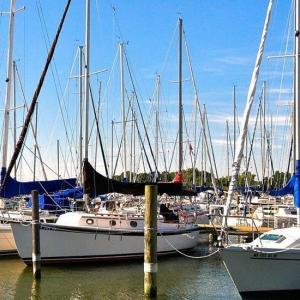 marina